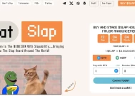 新的以猫为主题的Memecoin Catslap在DEX和最佳钱包上推出-了解如何今天购买SLAP